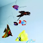 Tropical_2010