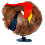 Tronco di legno