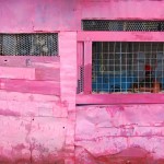 Kenya Walls 01