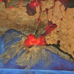 Eruzione_2007